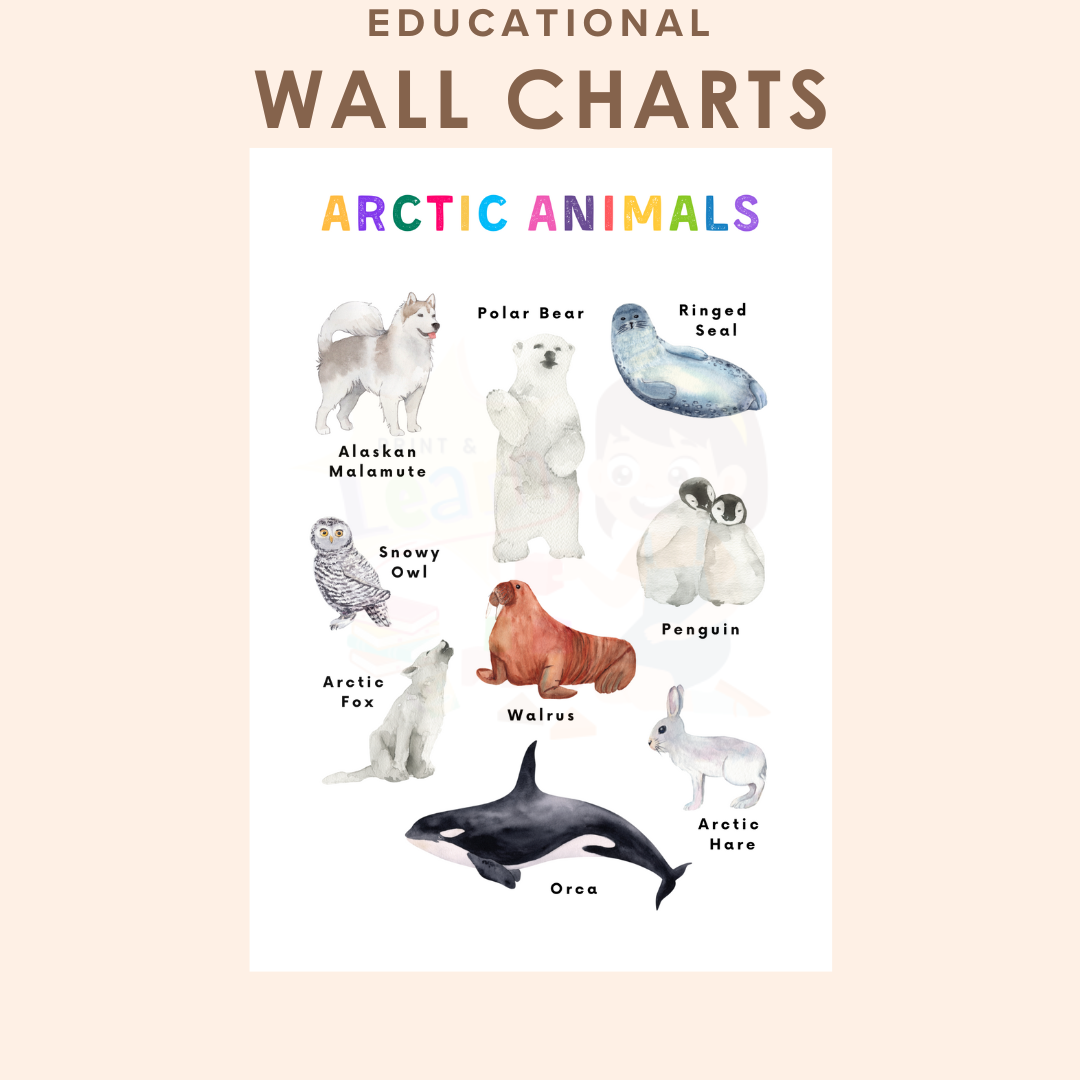 Educational Wall Charts: Arctic Animals