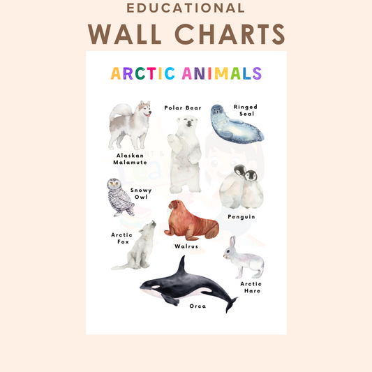 Educational Wall Charts: Arctic Animals