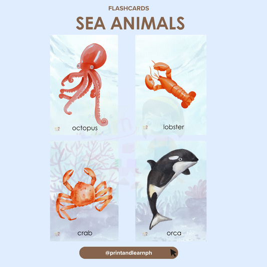 Flashcard: Sea Aninals
