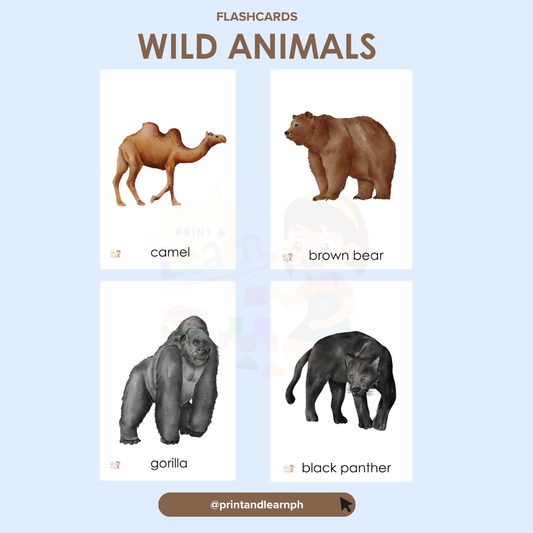 Flashcard: Wild & Forests Animals