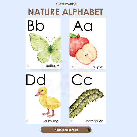 Flashcard: Alphabets Nature