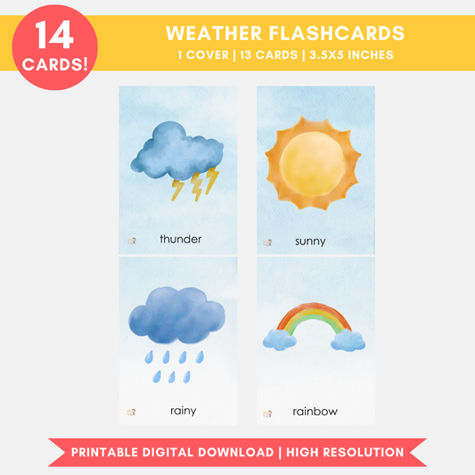 Weather Flashcards (Digital Only)