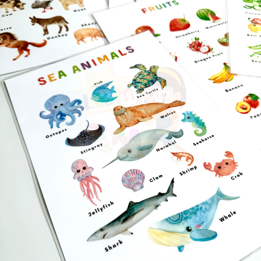 Educational Wall Charts: Colors