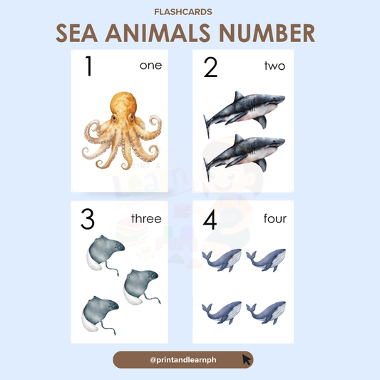 Flashcard: Sea Animals Counting