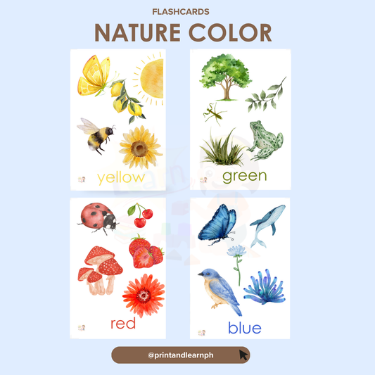Flashcard: Color Nature