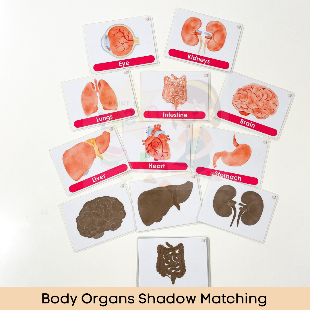 Grab & Go Learning Kits for 3 - 5 Years Old