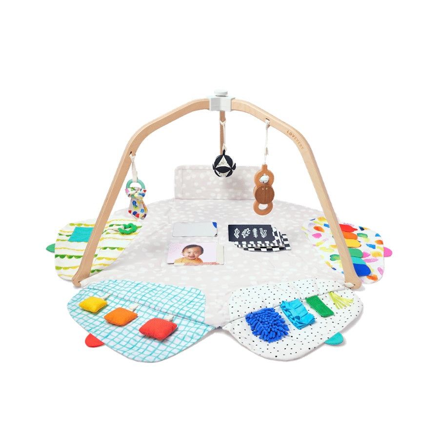 The Play Gym