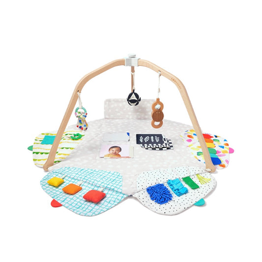 The Play Gym