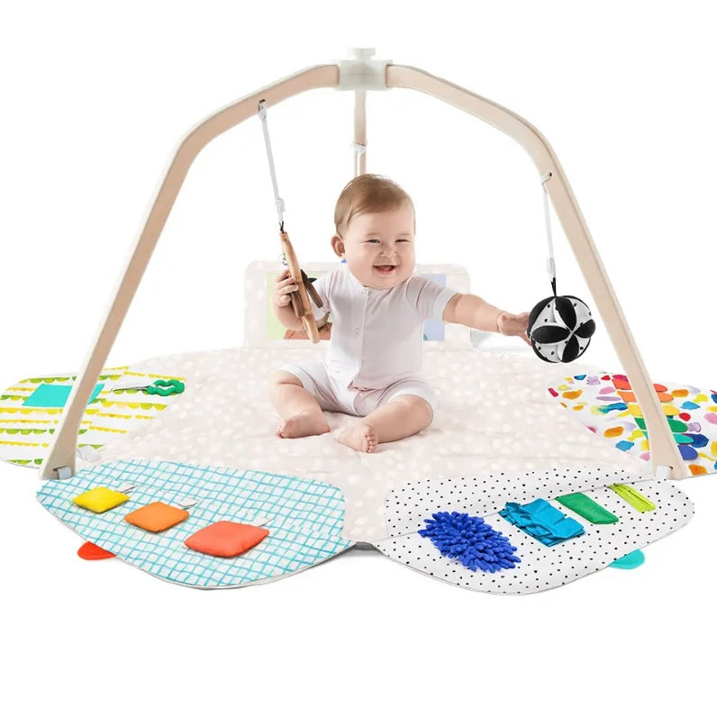 The Play Gym