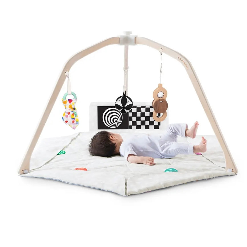 The Play Gym