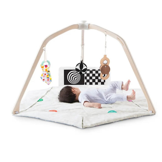 The Play Gym