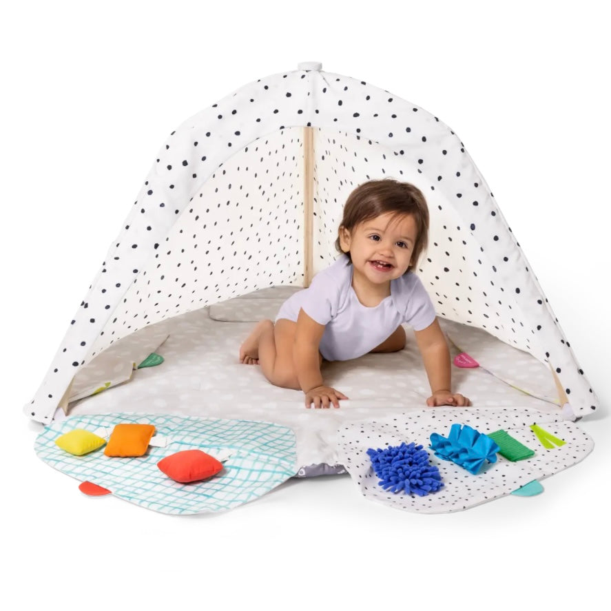 The Play Gym