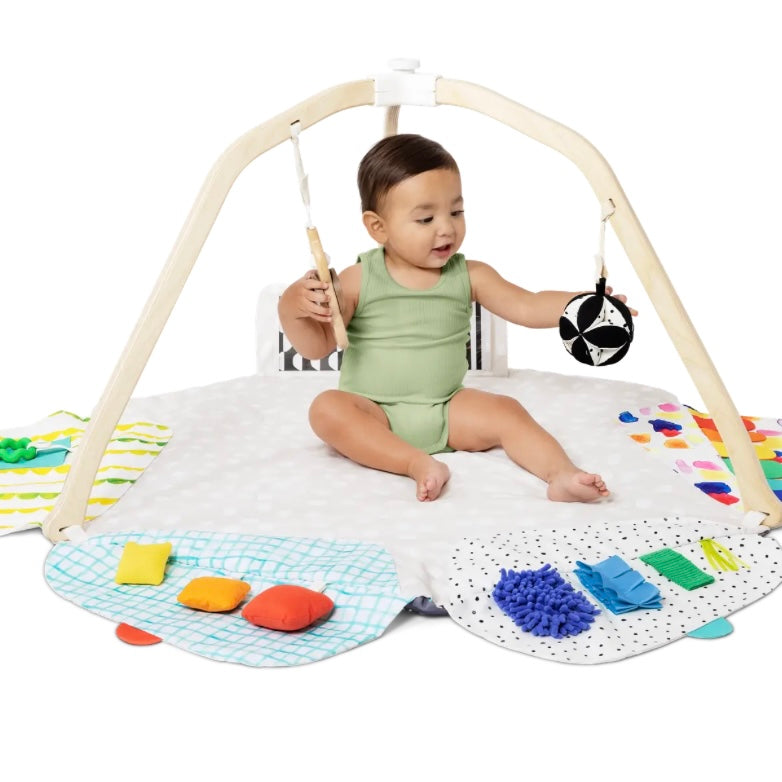 The Play Gym
