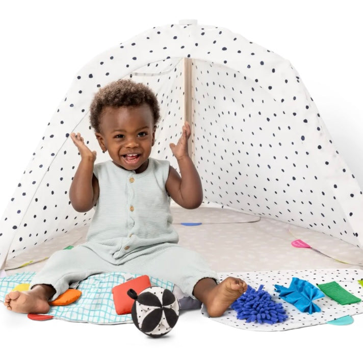 The Play Gym