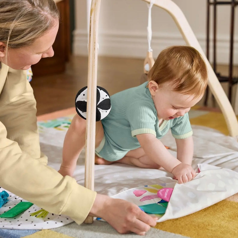 The Play Gym