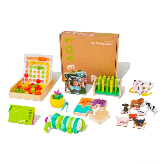 The Companion Play Kit (Months 22, 23, 24)