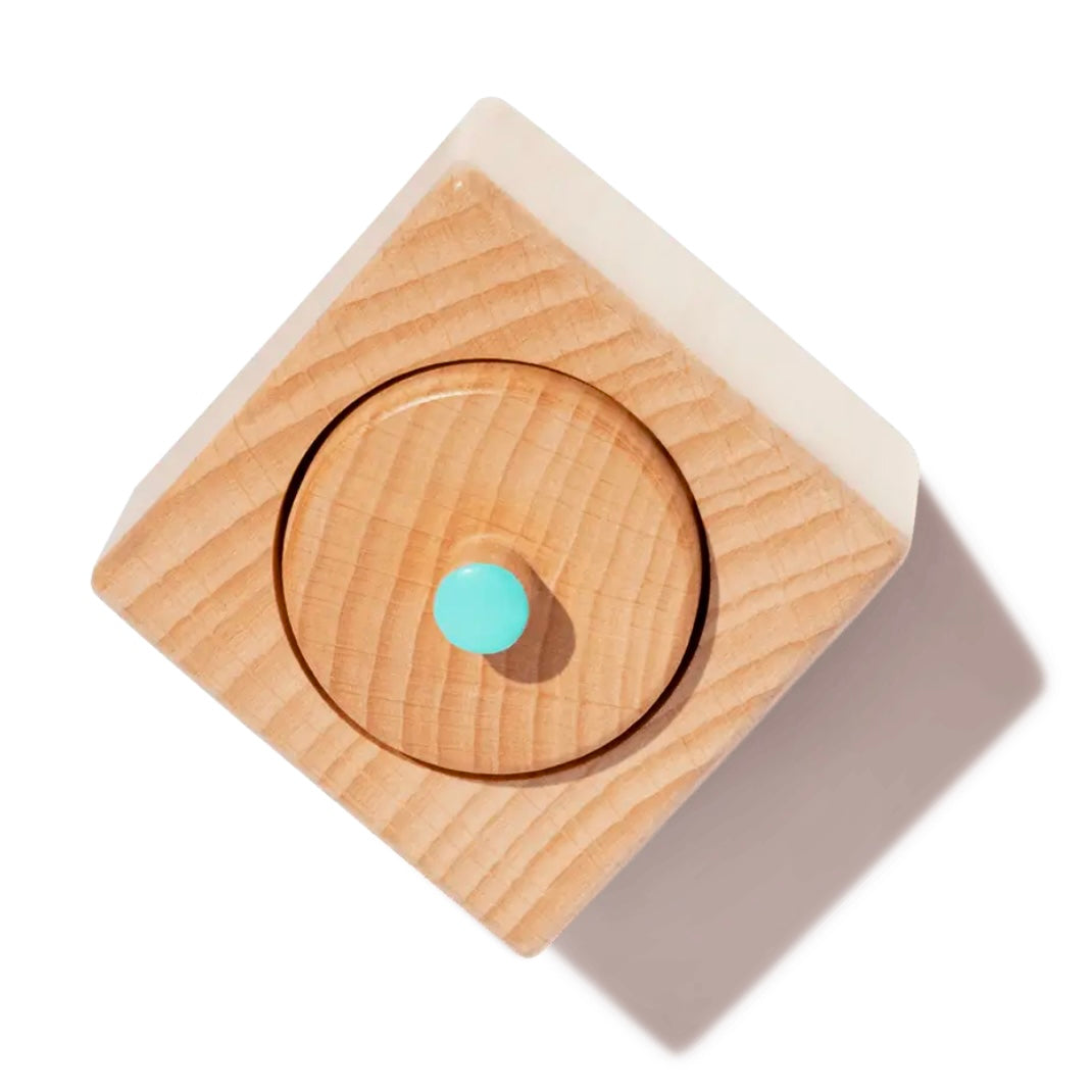 The Thinker Play Kit (Months 11-12)