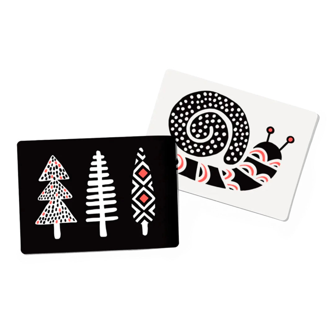 The Charmer Play Kit (Months 3-4)