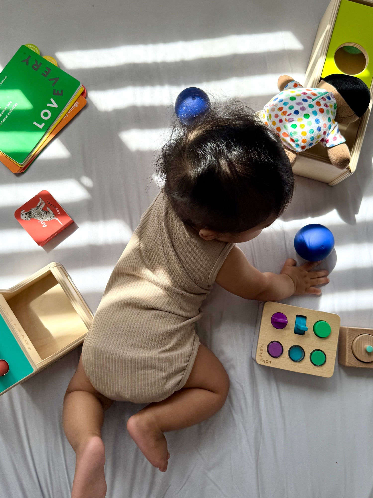 Toys for Rent for 0 - 12 Months