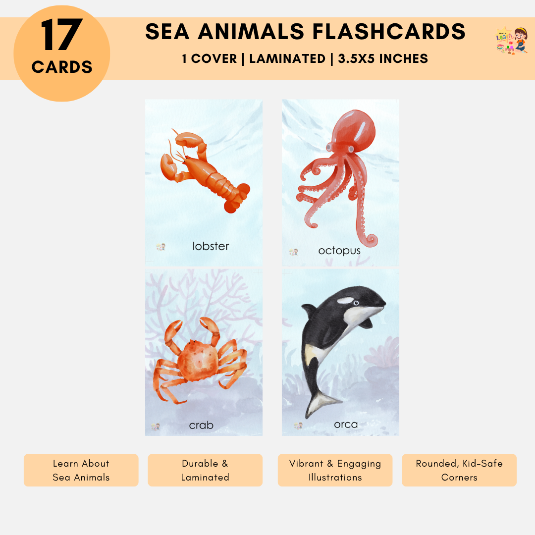 Laminated Flashcards