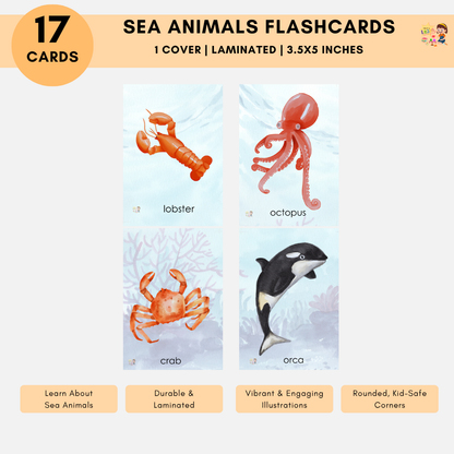 Laminated Flashcards