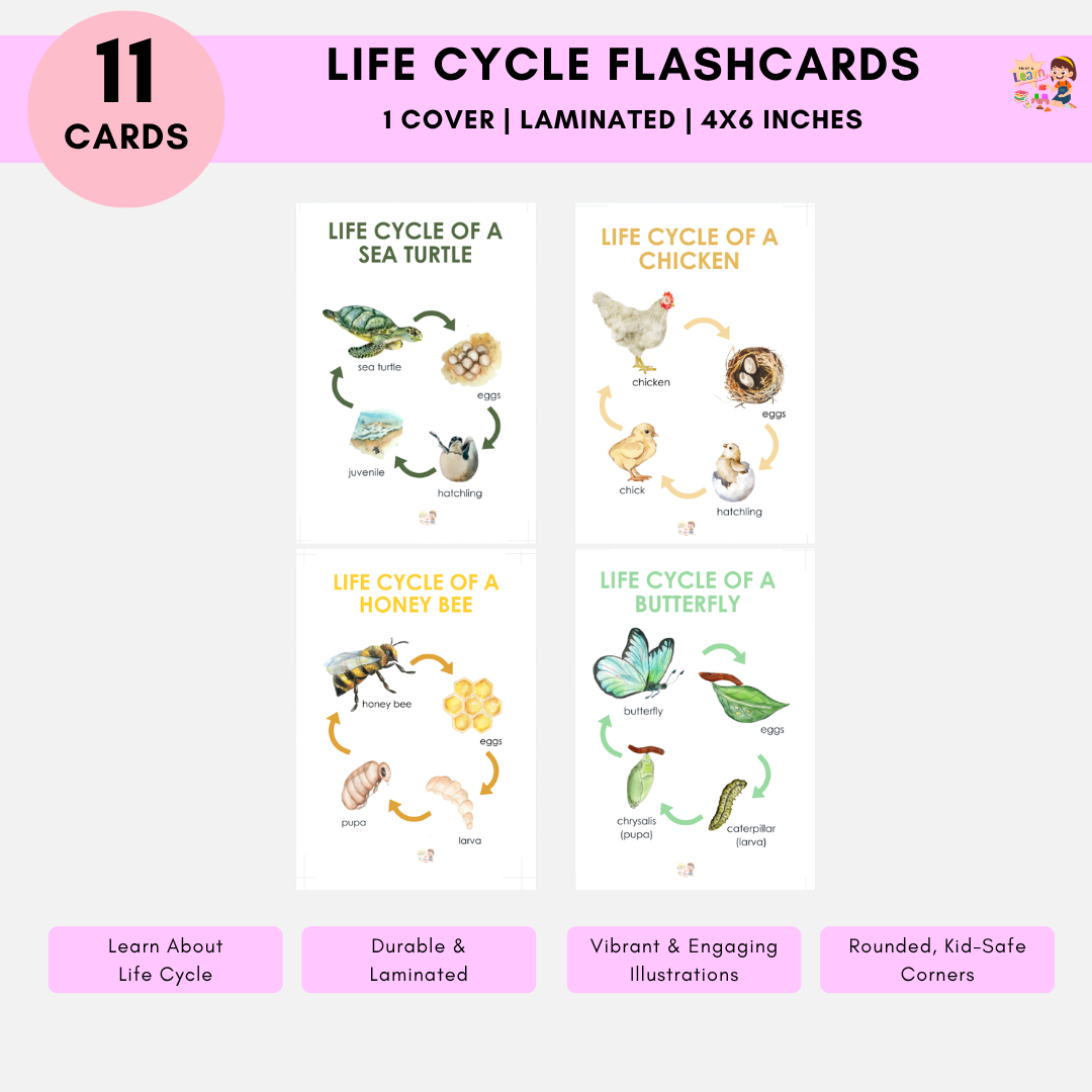 Laminated Flashcards