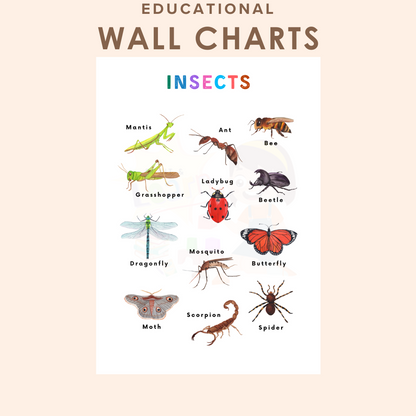 Educational Wall Charts: Insects