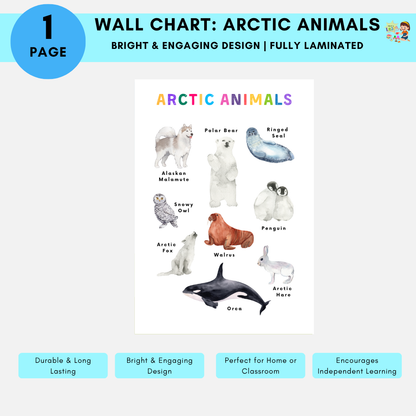 Educational Wall Charts: Arctic Animals