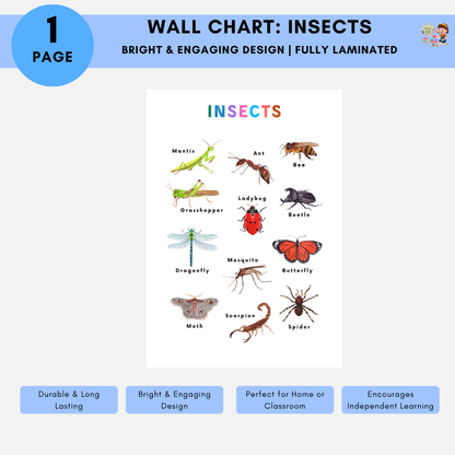 Educational Wall Charts: Insects