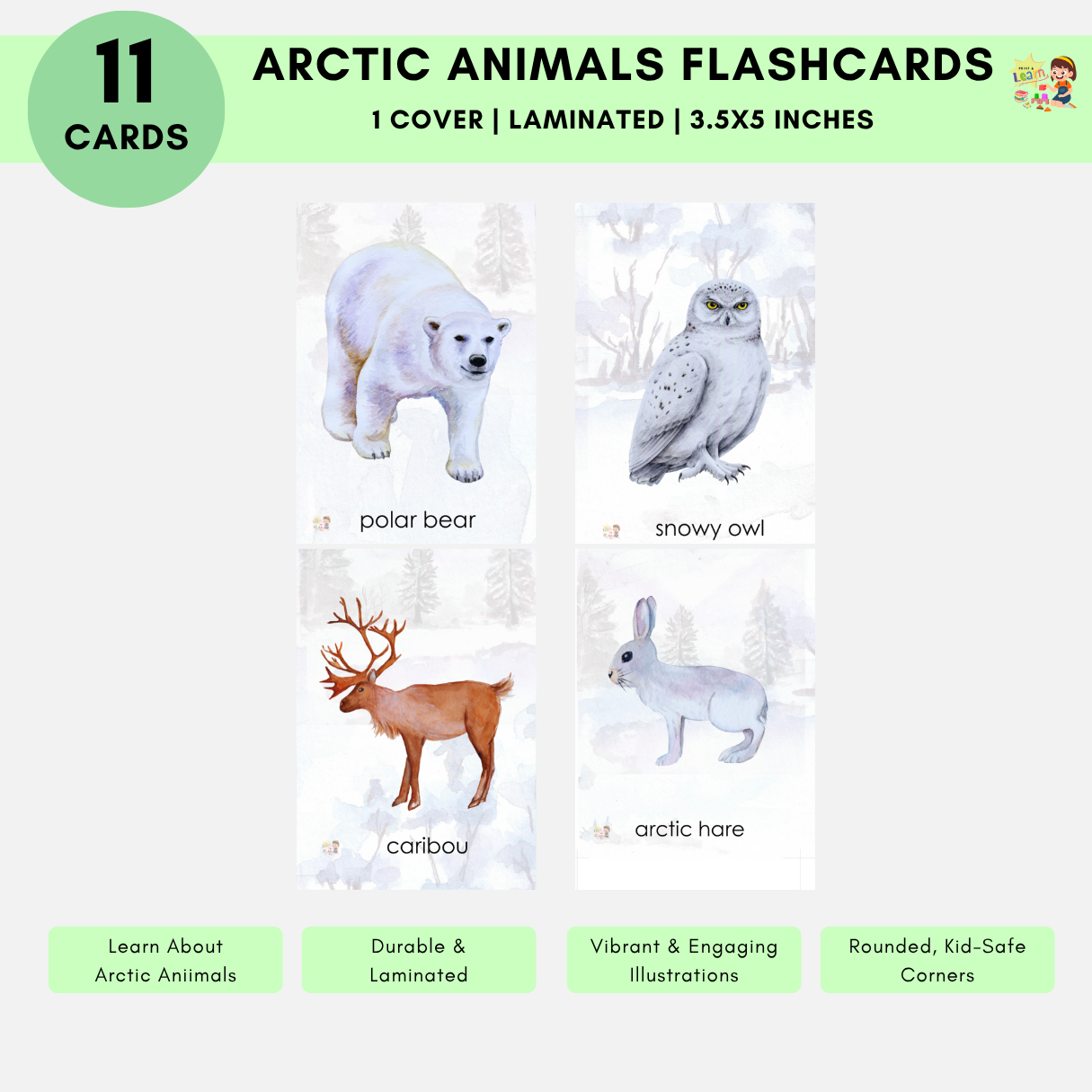 Flashcard: Arctic Animals