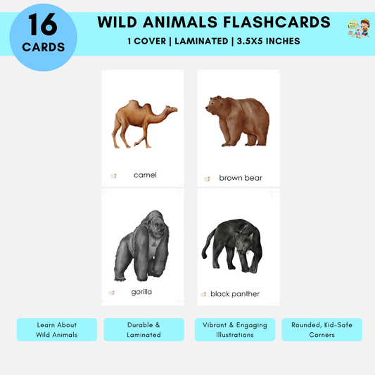 Flashcard: Wild & Forests Animals