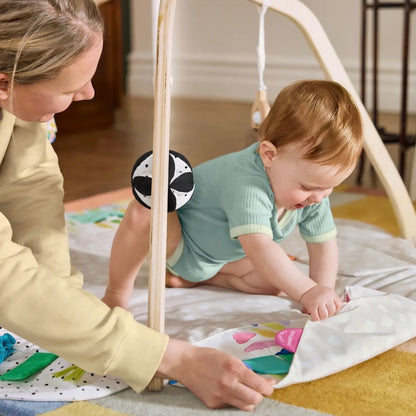 The Play Gym